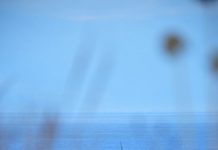 “You cannot direct the wind — but you can adjust your sail.” Arvo Pärt